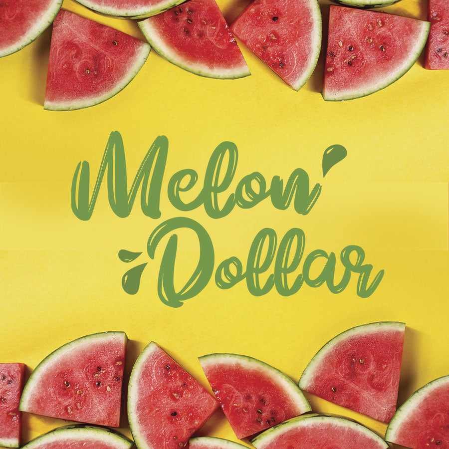 WASHABRUSH FOAM CLEANSER - WATERMELON