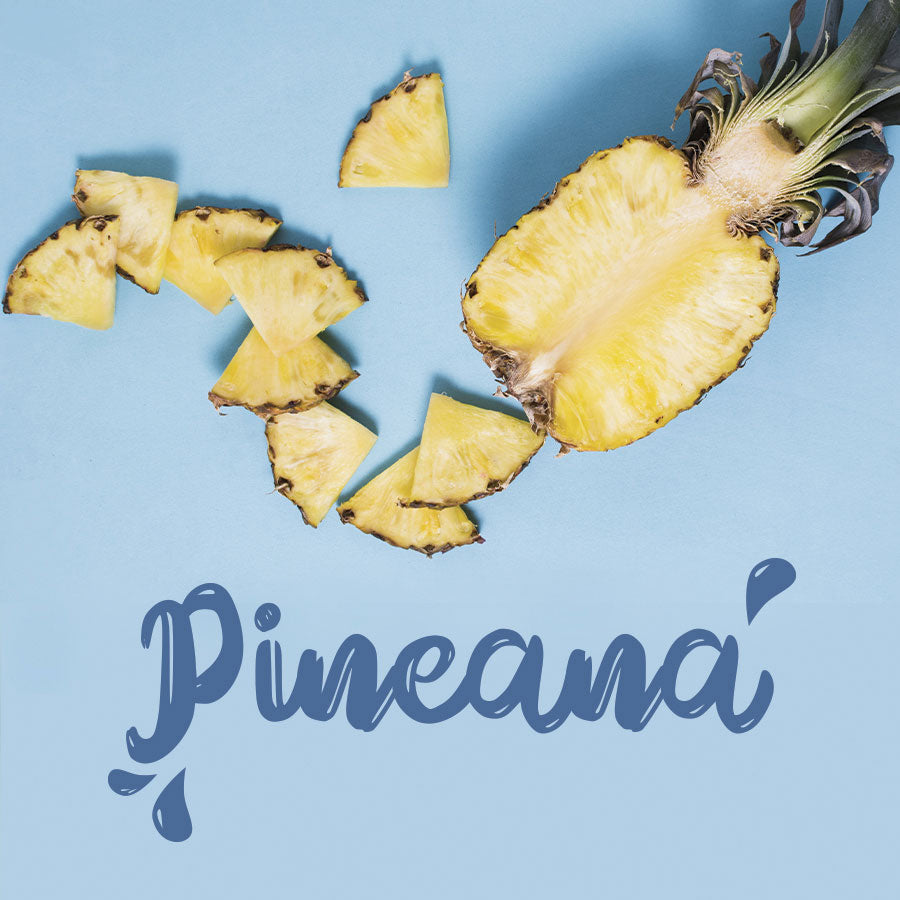 WASHABRUSH FOAM CLEANSER - PINEAPPLE